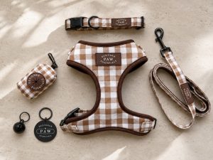 Luxury 5-Piece Pet Harness