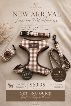 Luxury 5-Piece Pet Harness